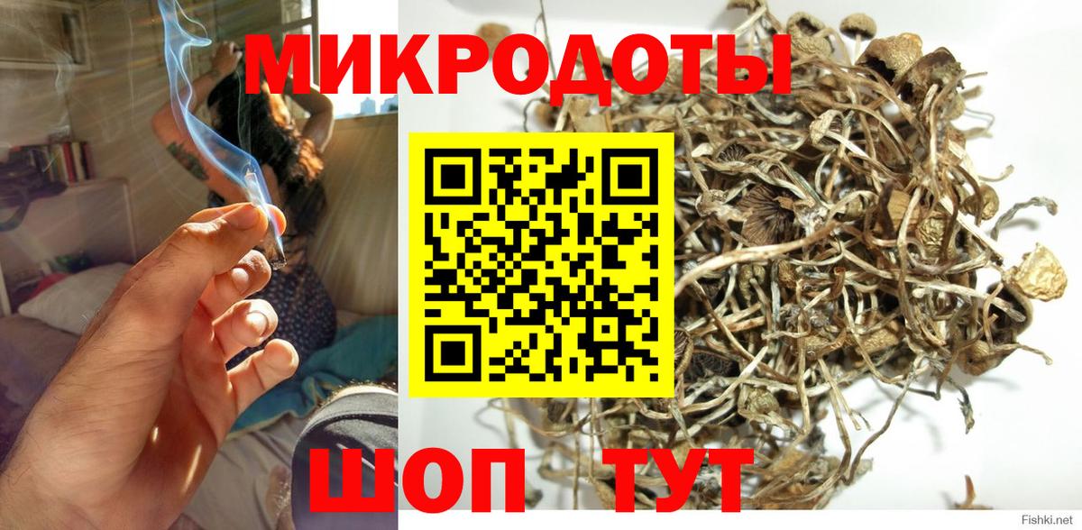 Псилоцибиновые грибы MAGIC MUSHROOMS Грозный